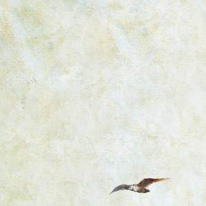 黑人破女警花处苞
